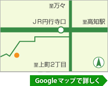 Google マップで詳しく